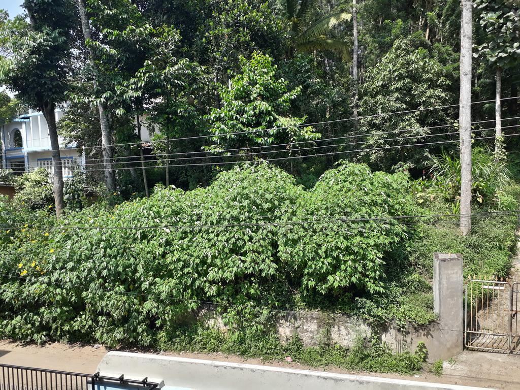 Able Homestay Thekkady Exterior foto